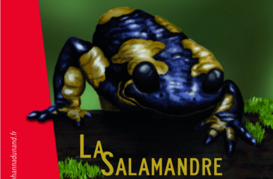 La Salamandre